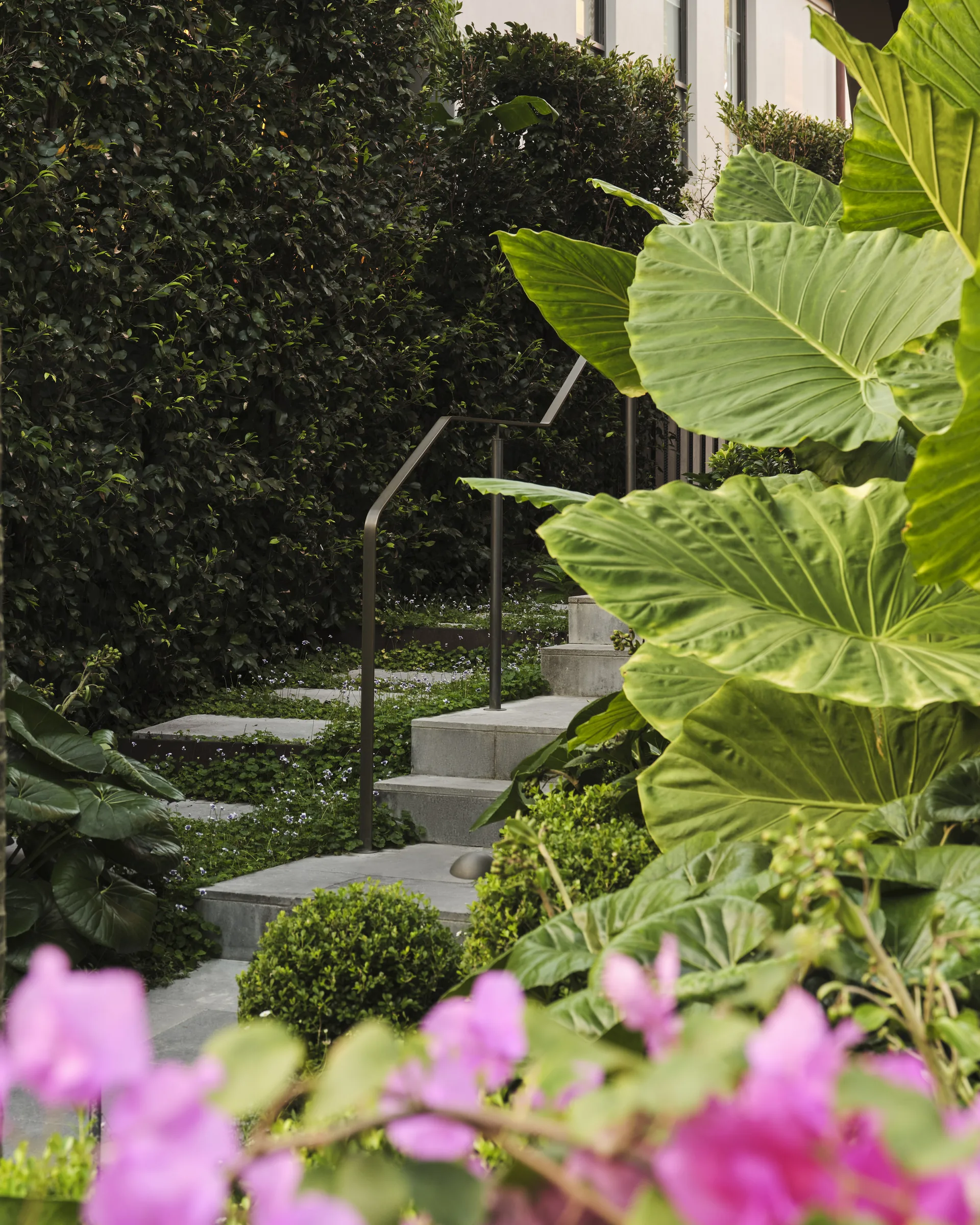 Vaucluse House III